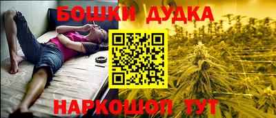 крисы Гудермес
