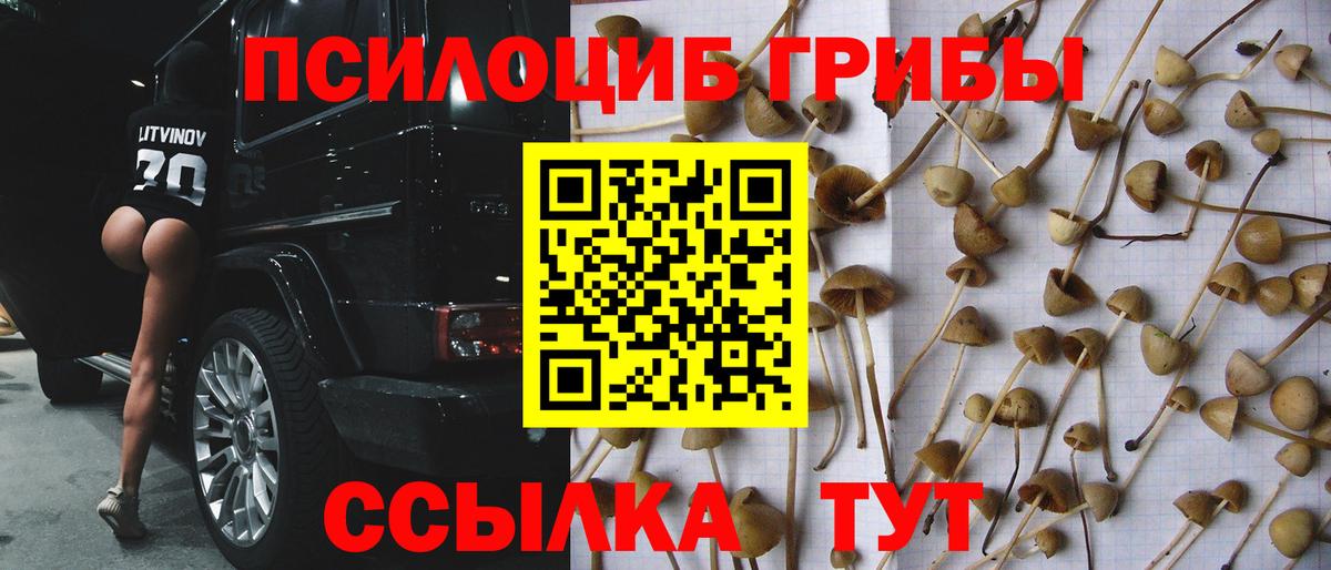 Галлюциногенные грибы Psilocybe  Псилоцибиновые грибы Psilocybine cubensis  Киржач  Вход с VPN 